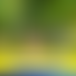 SULUCAN NAGKAKAISA, KASAMA SA TULOY-TULOY NA REPORMA