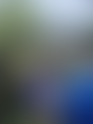 Pagbaba sa Barangay at Pakikonsulta sa Mamamayan, Isinagawa ni Mayor Jowar Matapos ang Malakas na Ulan