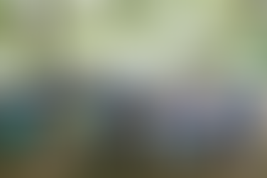 Pamahalaang Bayan, binisita at sinuri ang mga Proyekto sa Barangay Niugan