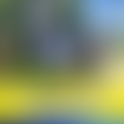 HANDA TAYO, BARANGAY LAOG!