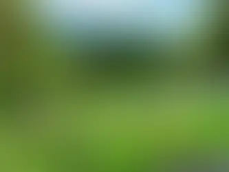 New Opportunities Lead to More Opportunities