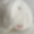 Thumbnail: Baseball Cap AIGHT Worldwide Cream