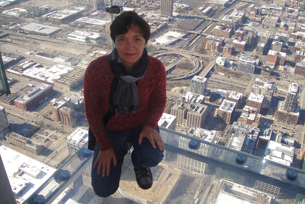 No alto do Willis Tower