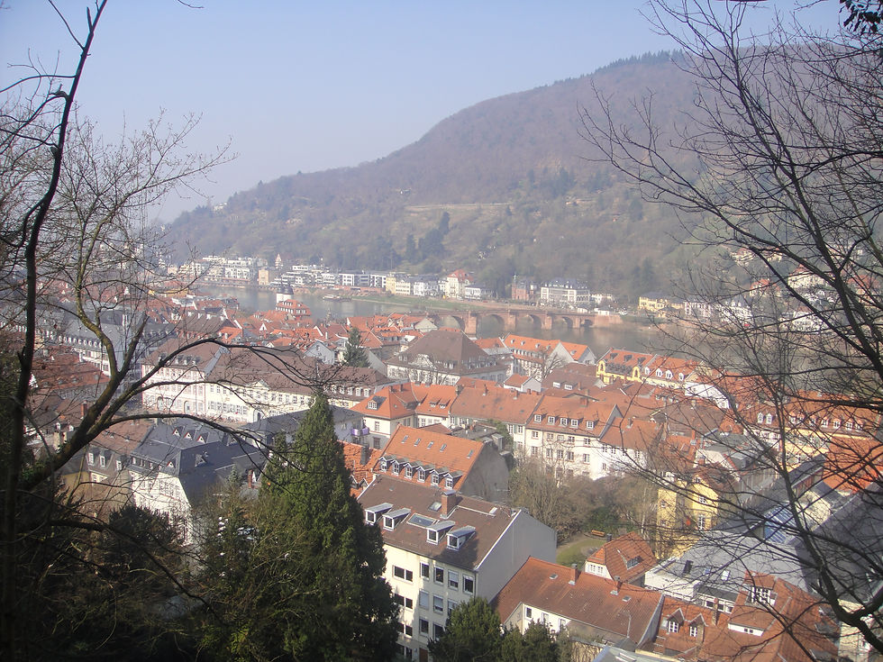 Heidelberg vista de cima