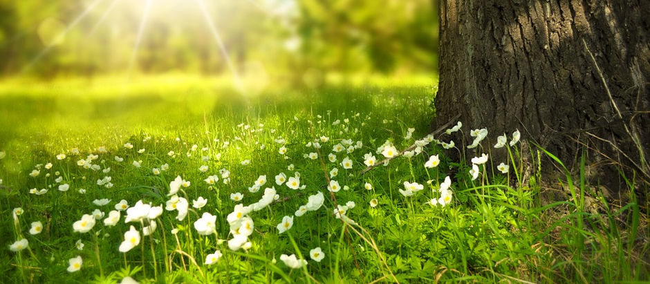 Lente begint dit jaar niet op 21 maart