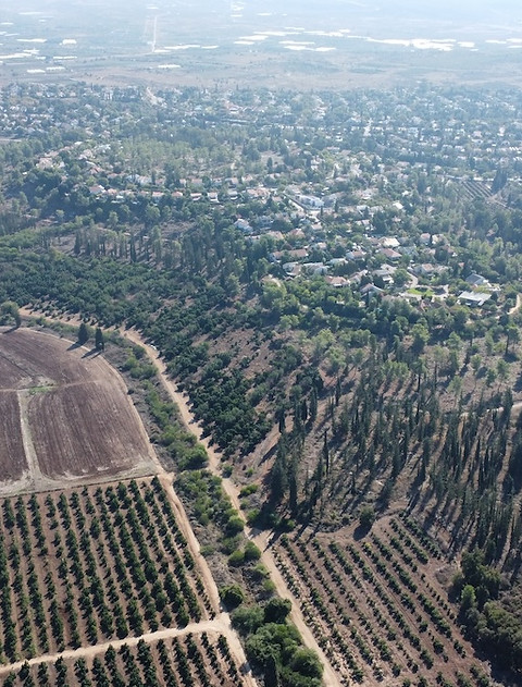 דודיק הלפרין- פרויקט מסדרון אקולוגי