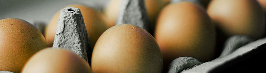 Carton of Eggs