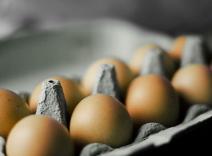Carton of Eggs