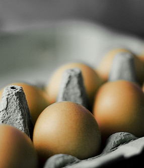 Carton of Eggs