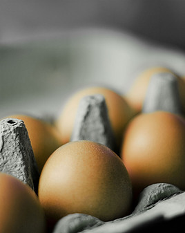 Carton of Eggs