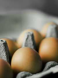 ACCC Clarifies Free-Range Labelling Amid Bird Flu Precautions