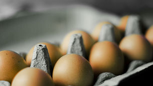 Huhtamaki to boost fibre packaging capacity with new South Africa facility