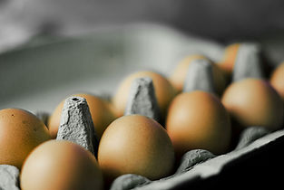 Carton of Eggs