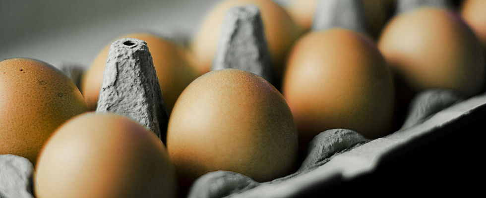 Carton of Eggs