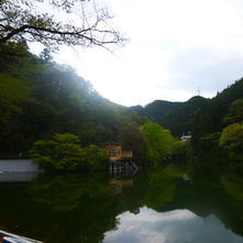 4/19サイクリング