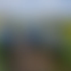 8/8月曜サイクリング