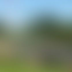 11/4月曜サイクリング