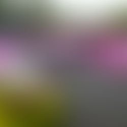 4/17日曜サイクリング9時