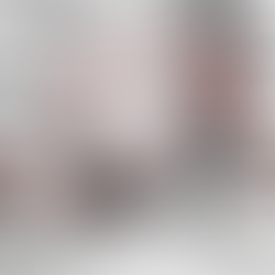 RIDLEY / FenixDisc105Di2