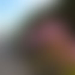 3/21月曜サイクリング