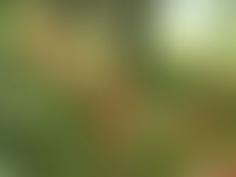 9/12月曜サイクリング