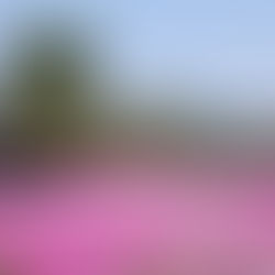 4/20木曜サイクリング