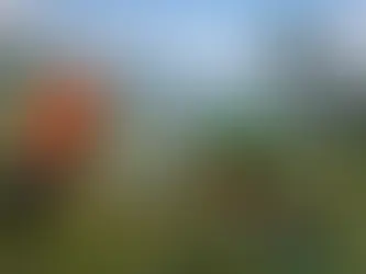 Antioquia, Colombia Has More Bird Species Than USA