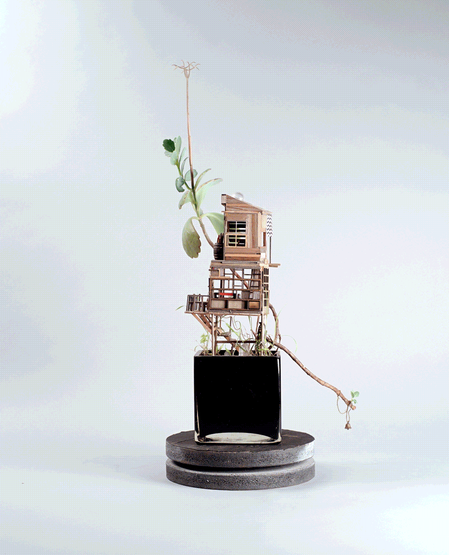 Hout Boomhut-in-miniatuur-in-plant-van-Jedediah-Voltz.gif
