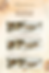 Thumbnail: EasyOrder Bambi beige verschiedene SetVarianten Preis ab 25.90CHF