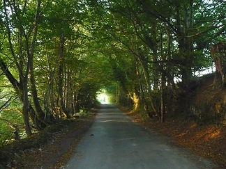 P1000234.jpg
