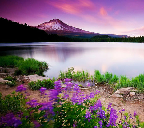 From Kindle HDX 1718.jpg