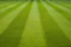 rsz_lawn-stripes-adamkr-flickr-cc20.webp