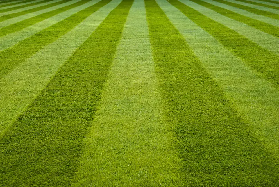 rsz_lawn-stripes-adamkr-flickr-cc20.webp