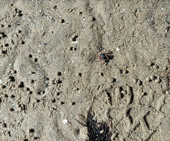 sand.png