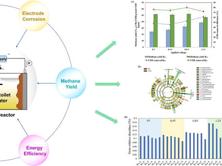 A multifaceted screening of applied voltages for electro-assisted anaerobic digestion of blackwater: Significance of temperature, hydrolysis/acidogenesis, electrode corrosion, and energy efficiencies