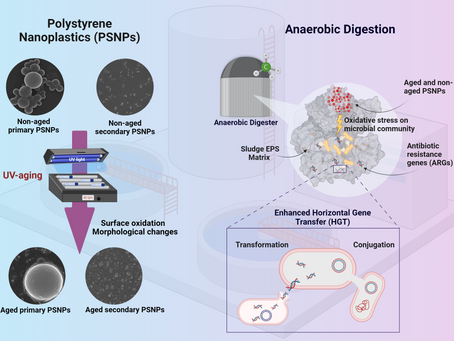 Impact of aging of primary and secondary polystyrene nanoplastics on the transmission of antibiotic resistance genes in anaerobic digestion