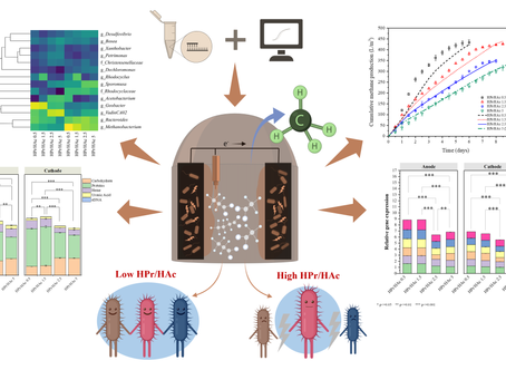 Molecular biology and modeling analysis reveal functional roles of propionate to acetate ratios on microbial syntrophy and competition in electro-assisted anaerobic digestion