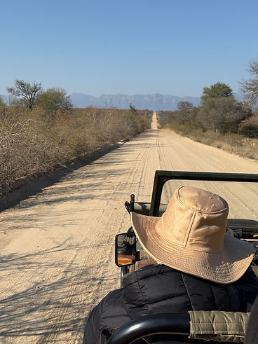 Out for a safari drive in South Africa.