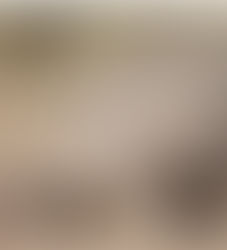 Do you know what a pangolin is?