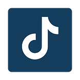 Tiktok Icon