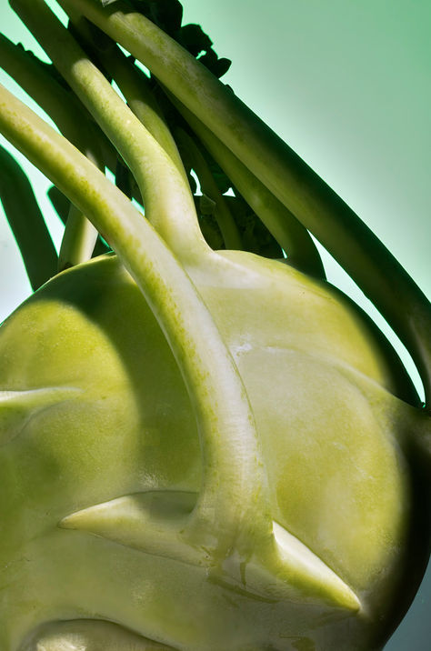 Makroaufnahme eines frischen Kohlrabis mit grünen Stielen vor türkisfarbenem Hintergrund.