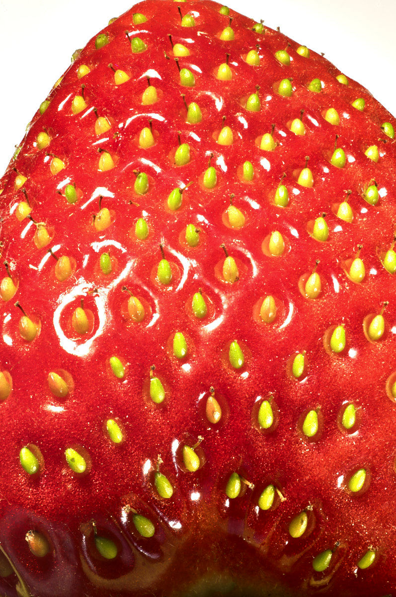 Makroaufnahme einer roten Erdbeere mit feinen Details der Fruchtoberfläche auf weißem Hintergrund