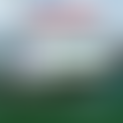 Official Announcement: PT CST Scorpa Jasa Achieves Full Compliance with Pertamina International Shipping’s Ship Management Requirements