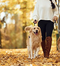 shutterstock_2220540287.jpg