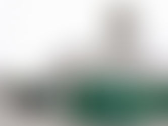 El presidente de la Junta de Coordinación Política del Senado, Ricardo Monreal, afirmó que la recién