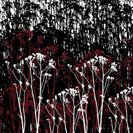 Compressed_IMG_0453.jpg