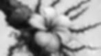 7_edited