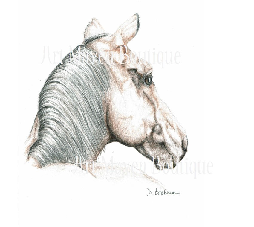 Thumbnail: Horses Greeting Cards