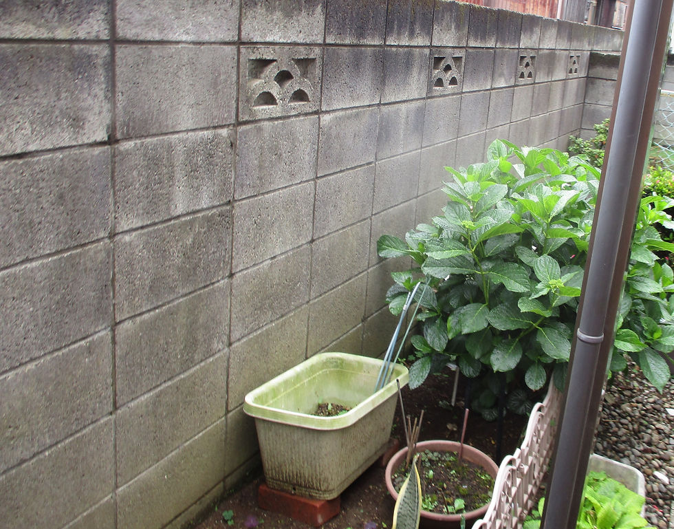 👆既存