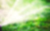 Water Sprinkler_edited.jpg